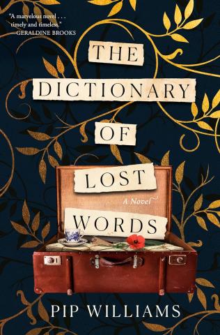 The Dictionary of Lost Words cover. Vintage looking with paper scraps coming out of an old suitcase.