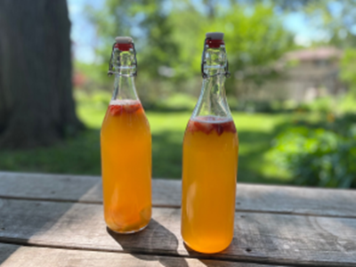 glass bottles filled with kombucha