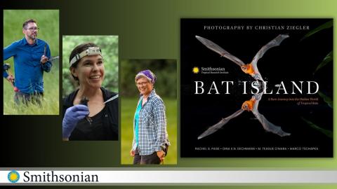 Three Smithsonian Scientists in a lush forest with the book Bat Island.