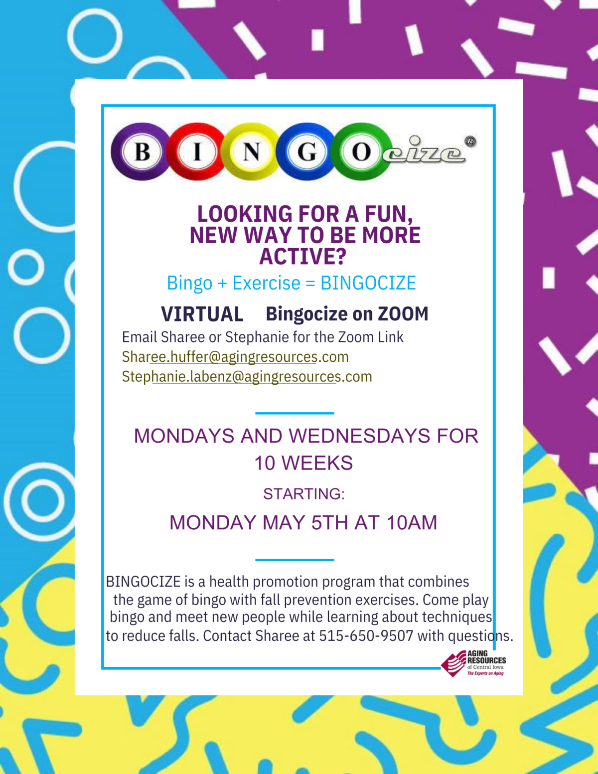 Bingocize flyer